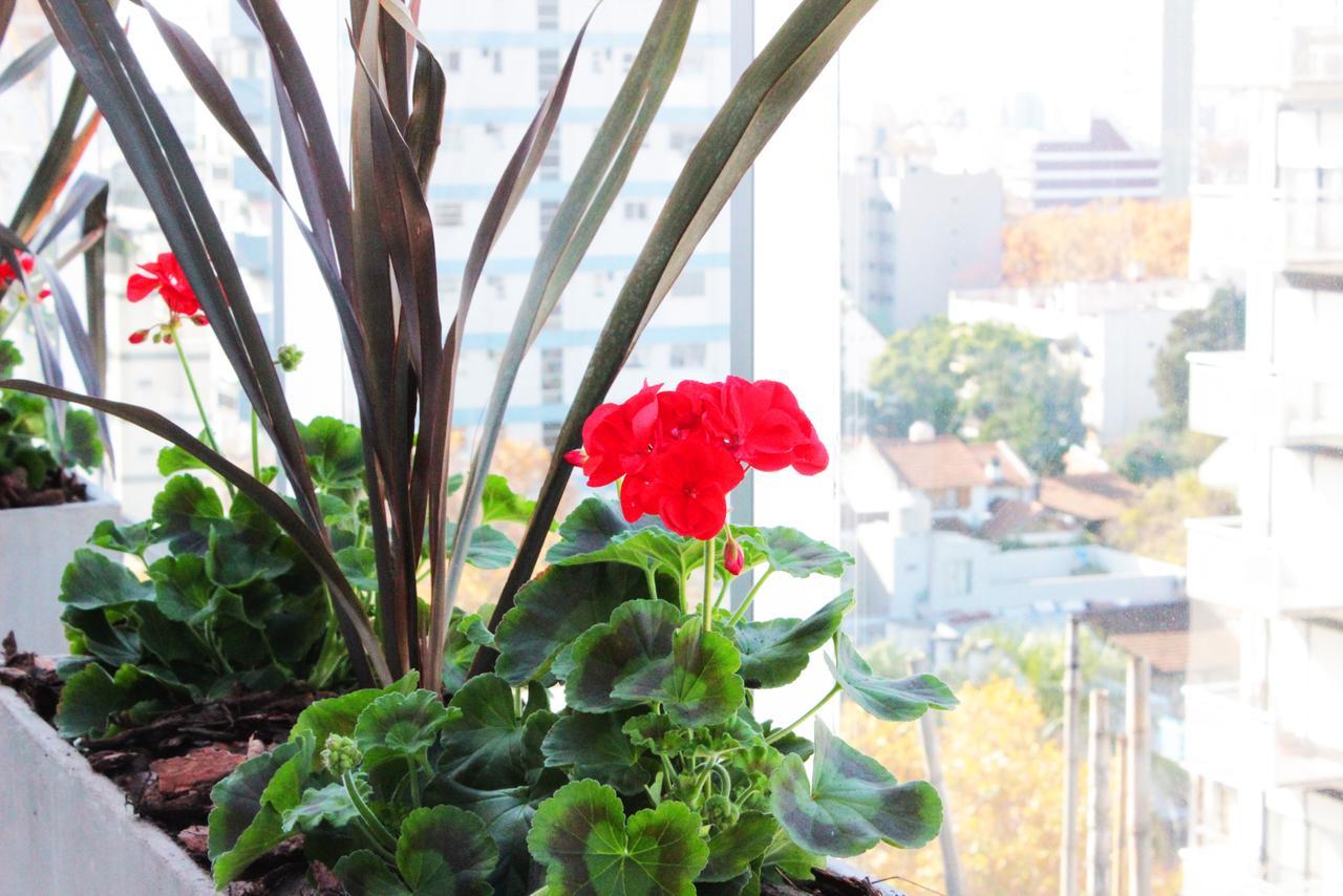 Hotel Boutique Devoto Buenos Aires Exteriér fotografie